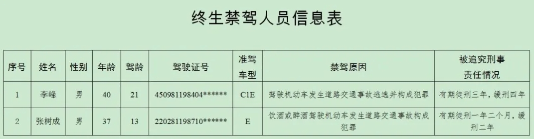 禁驾人员信息表